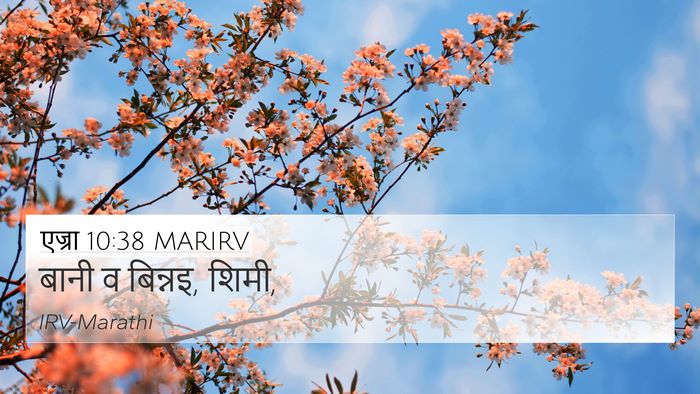 एज्रा 10:38 MARIRV 4K Wallpaper - बानी व बिन्नइ, - 4K Wallpaper Bible Verse