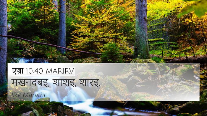 एज्रा 10:40 MARIRV 4K Wallpaper - मखनदबइ, शाशइ, - 4K Wallpaper Bible Verse