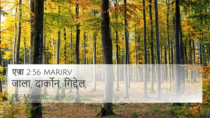 एज्रा 2:56 MARIRV 4K Wallpaper - जाला, दार्कोन, - 4K Wallpaper Bible Verse