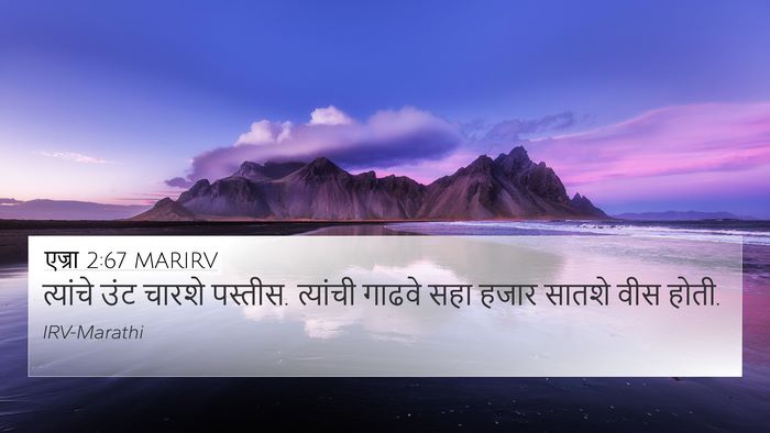 एज्रा 2:67 MARIRV 4K Wallpaper - त्यांचे उंट चारशे - 4K Wallpaper Bible Verse