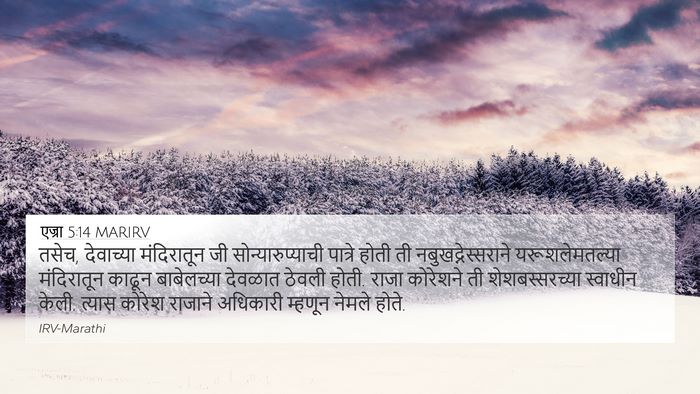 एज्रा 5:14 MARIRV Bible Verse Image
