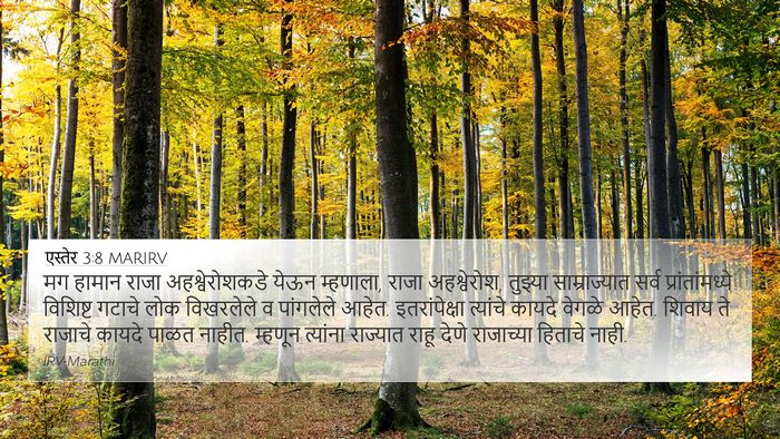 एस्तेर 3:8 MARIRV Bible Verse Image