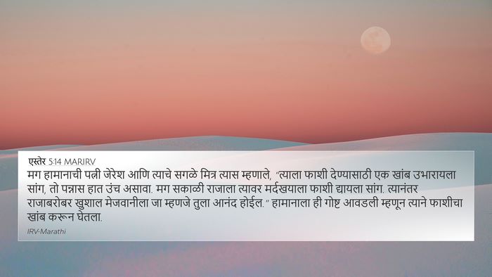 एस्तेर 5:14 MARIRV Bible Verse Image