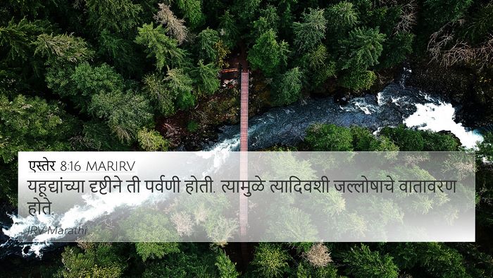 एस्तेर 8:16 MARIRV Bible Verse Image