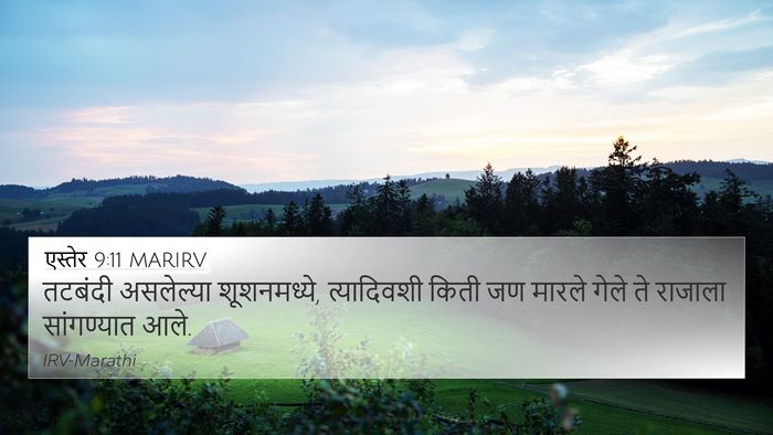 एस्तेर 9:11 MARIRV Bible Verse Image