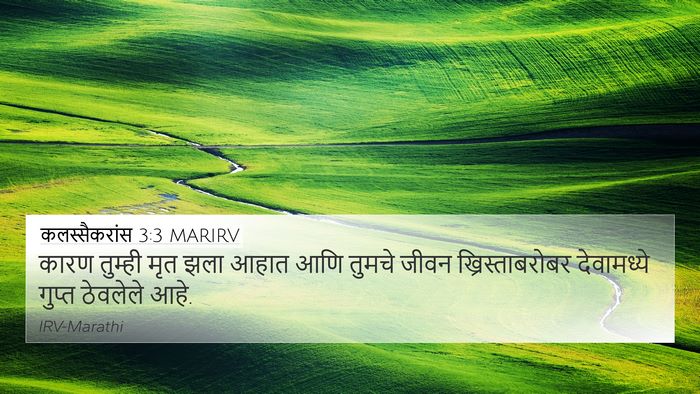 कलस्सैकरांस 3:3 MARIRV Bible Verse Image