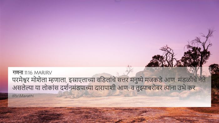 गणना 11:16 MARIRV Bible Verse Image