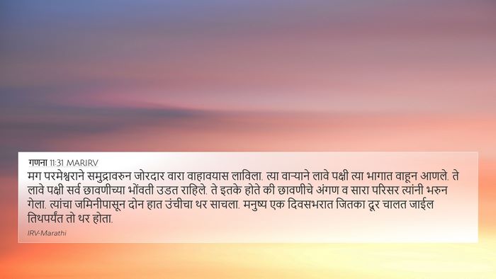गणना 11:31 MARIRV 4K Wallpaper - मग परमेश्वराने - 4K Wallpaper Bible Verse