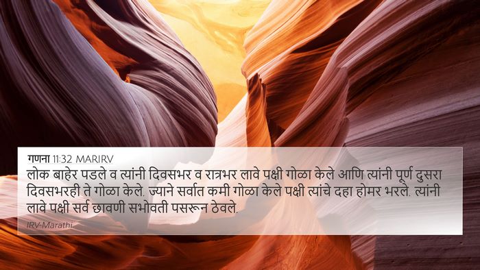 गणना 11:32 MARIRV Bible Verse Image