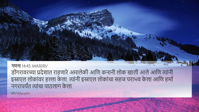 गणना 14:45 MARIRV Bible Verse Image