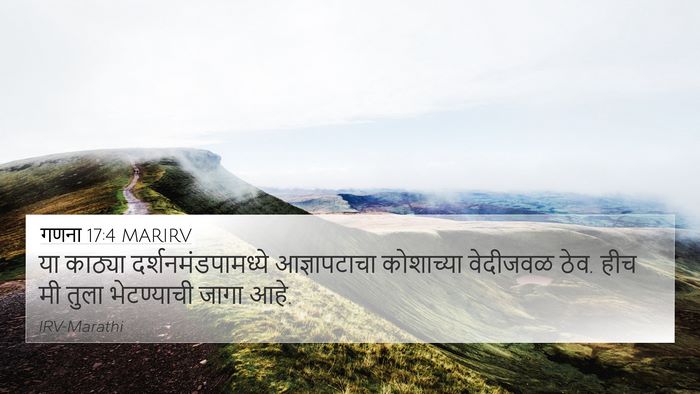 गणना 17:4 MARIRV Bible Verse Image