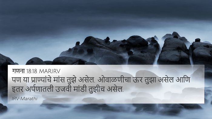 गणना 18:18 MARIRV Bible Verse Image