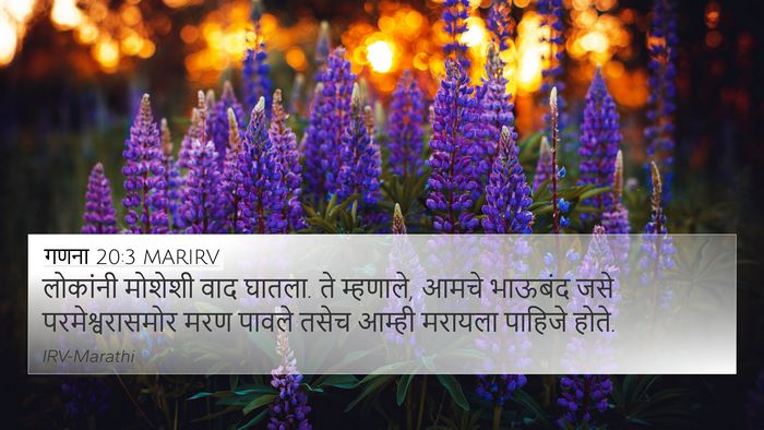 गणना 20:3 MARIRV Bible Verse Image