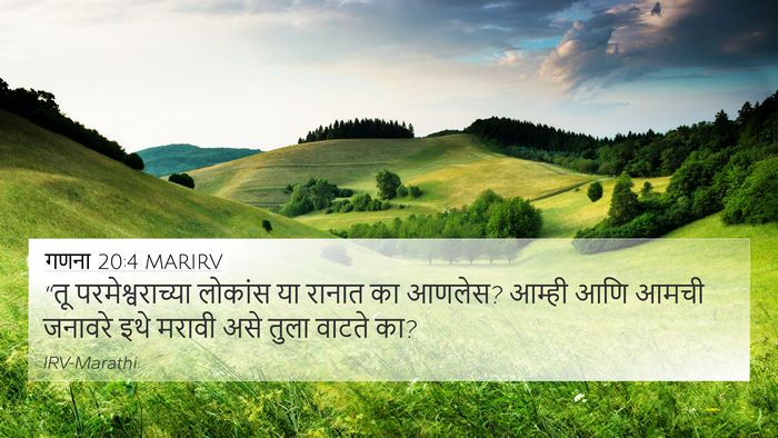 गणना 20:4 MARIRV Bible Verse Image
