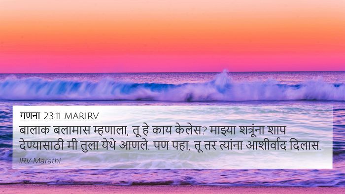 गणना 23:11 MARIRV Bible Verse Image
