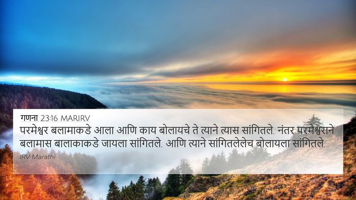 गणना 23:16 MARIRV Bible Verse Image