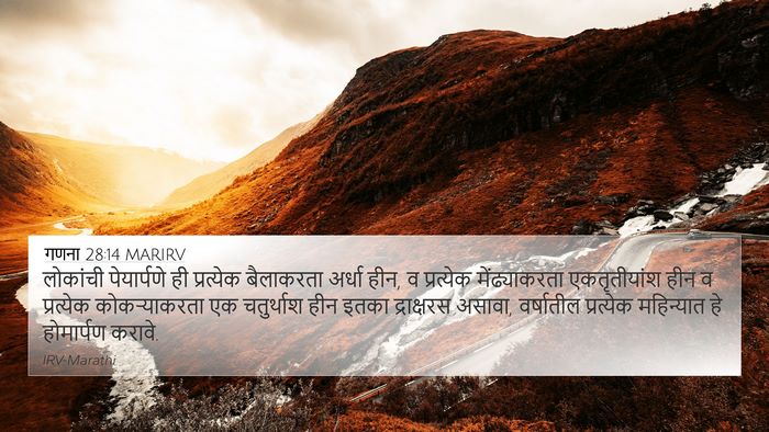 गणना 28:14 MARIRV Bible Verse Image