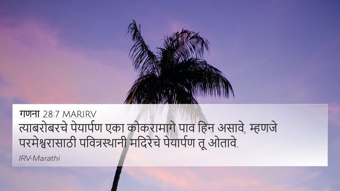 गणना 28:7 MARIRV Bible Verse Image
