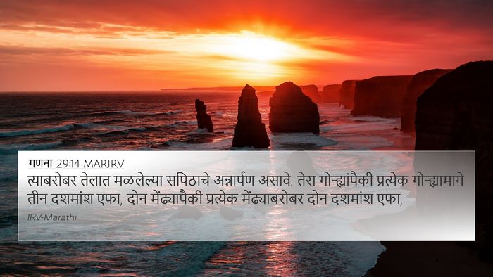 गणना 29:14 MARIRV 4K Wallpaper - त्याबरोबर तेलात - 4K Wallpaper Bible Verse