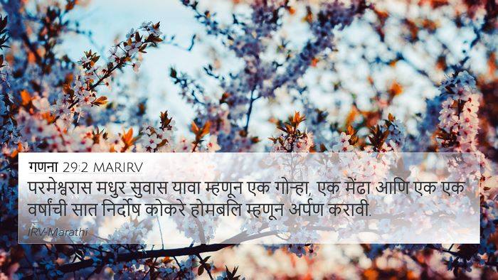 गणना 29:2 MARIRV Bible Verse Image