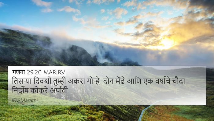 गणना 29:20 MARIRV Bible Verse Image