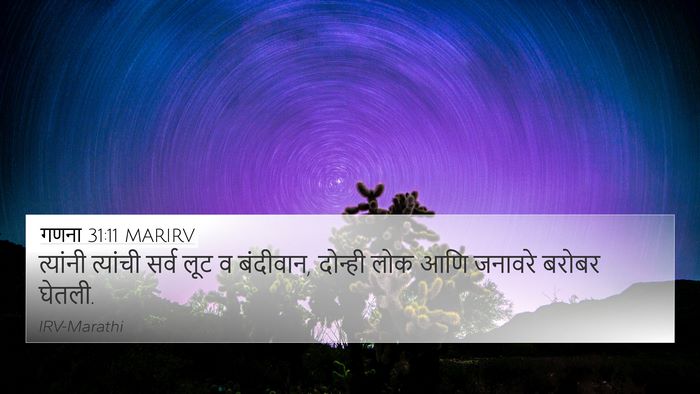 गणना 31:11 MARIRV Bible Verse Image