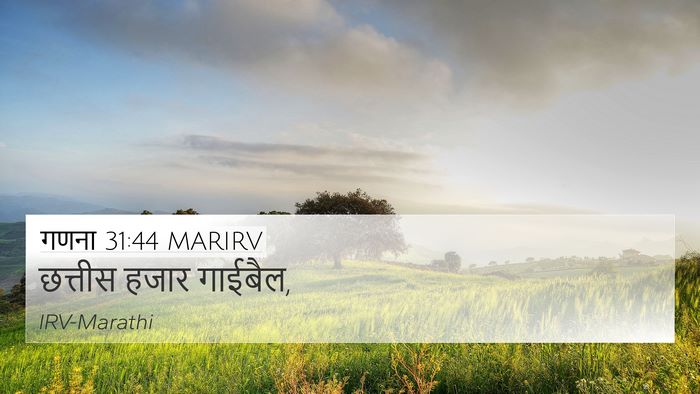 गणना 31:44 MARIRV 4K Wallpaper - छत्तीस हजार - 4K Wallpaper Bible Verse