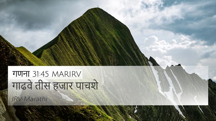 गणना 31:45 MARIRV 4K Wallpaper - गाढवे तीस हजार - 4K Wallpaper Bible Verse