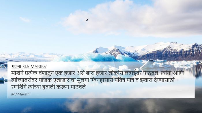 गणना 31:6 MARIRV Bible Verse Image
