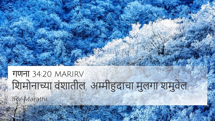गणना 34:20 MARIRV 4K Wallpaper - शिमोनाच्या - 4K Wallpaper Bible Verse
