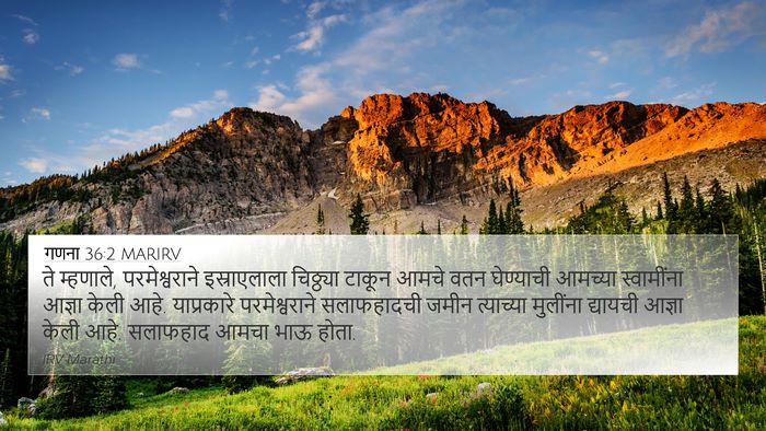गणना 36:2 MARIRV Bible Verse Image