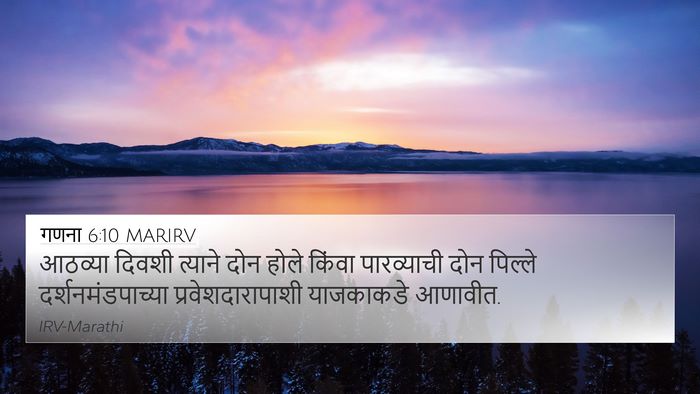 गणना 6:10 MARIRV Bible Verse Image
