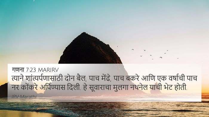 गणना 7:23 MARIRV Bible Verse Image