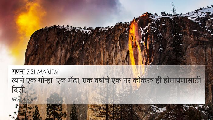 गणना 7:51 MARIRV 4K Wallpaper - त्याने एक गोऱ्हा, - 4K Wallpaper Bible Verse