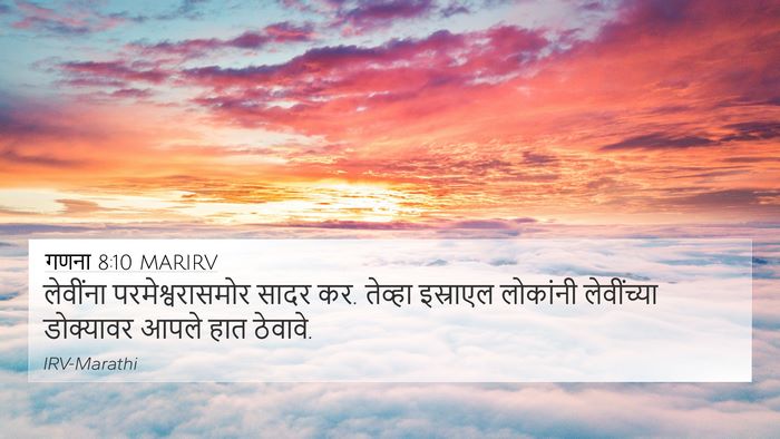 गणना 8:10 MARIRV Bible Verse Image