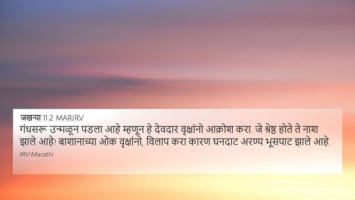 जखऱ्या 11:2 MARIRV Bible Verse Image