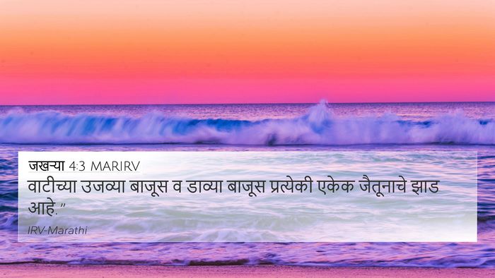 जखऱ्या 4:3 MARIRV 4K Wallpaper - वाटीच्या उजव्या - 4K Wallpaper Bible Verse