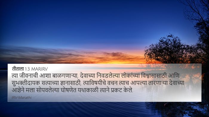 तीताला 1:3 MARIRV Bible Verse Image