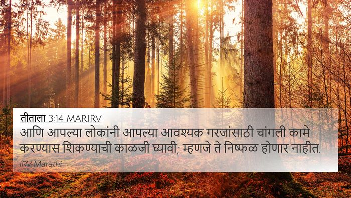 तीताला 3:14 MARIRV Bible Verse Image