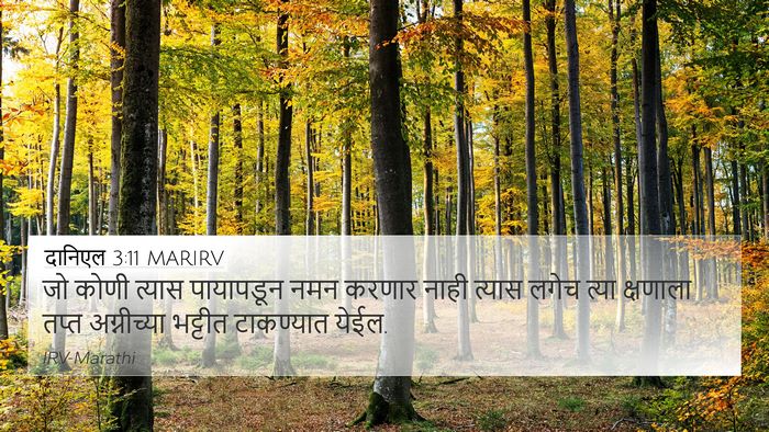 दानिएल 3:11 MARIRV 4K Wallpaper - जो कोणी त्यास - 4K Wallpaper Bible Verse