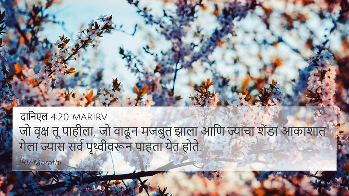 दानिएल 4:20 MARIRV Bible Verse Image