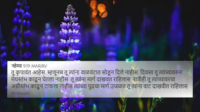 नहेम्या 9:19 MARIRV Bible Verse Image