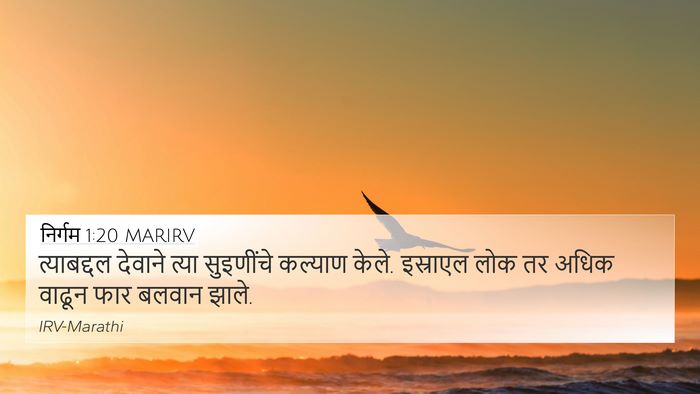 निर्गम 1:20 MARIRV Bible Verse Image