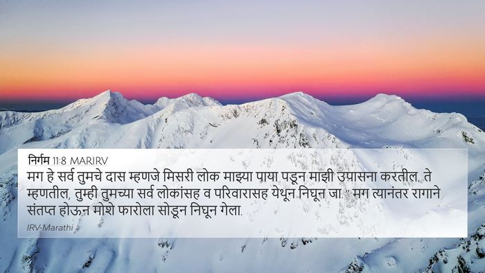 निर्गम 11:8 MARIRV Bible Verse Image