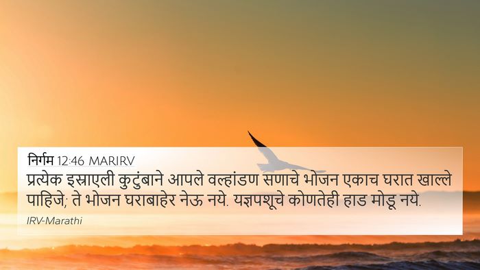 निर्गम 12:46 MARIRV Bible Verse Image