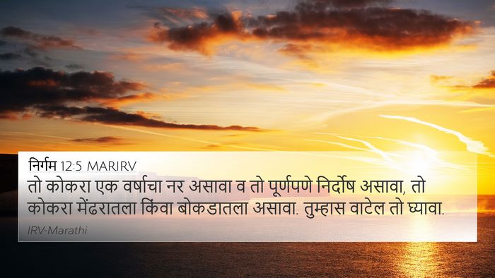 निर्गम 12:5 MARIRV Bible Verse Image