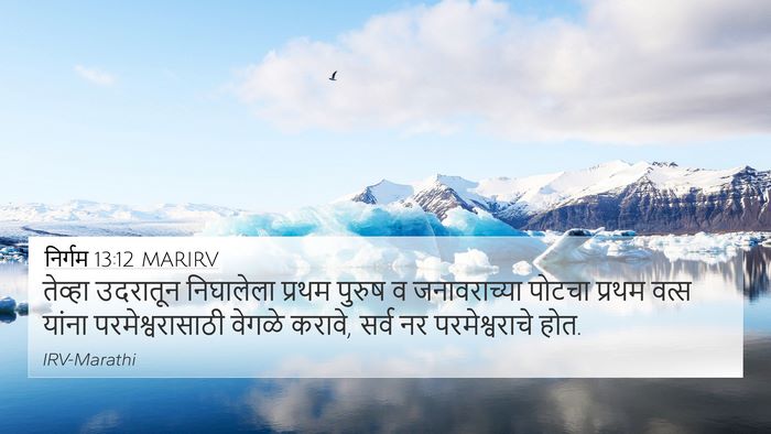 निर्गम 13:12 MARIRV Bible Verse Image