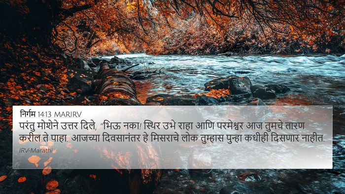 निर्गम 14:13 MARIRV Bible Verse Image