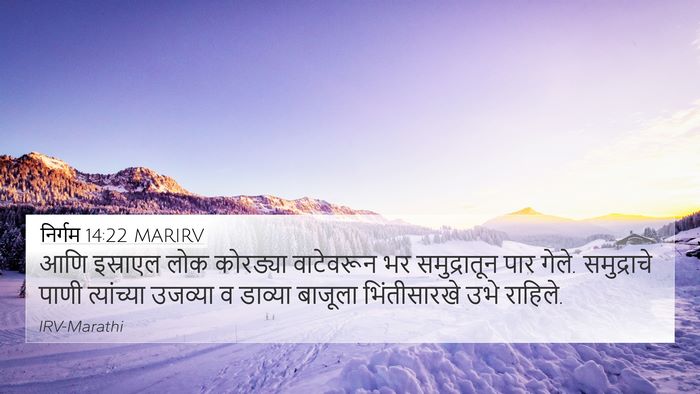 निर्गम 14:22 MARIRV Bible Verse Image