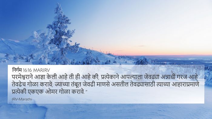 निर्गम 16:16 MARIRV Bible Verse Image
